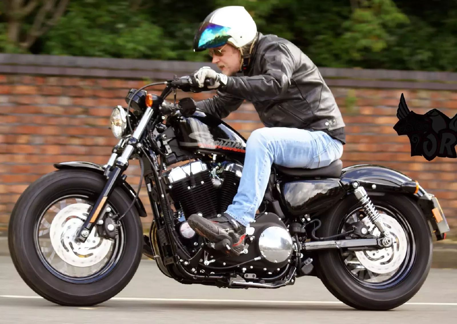 Harley Davidson Forty eight бак