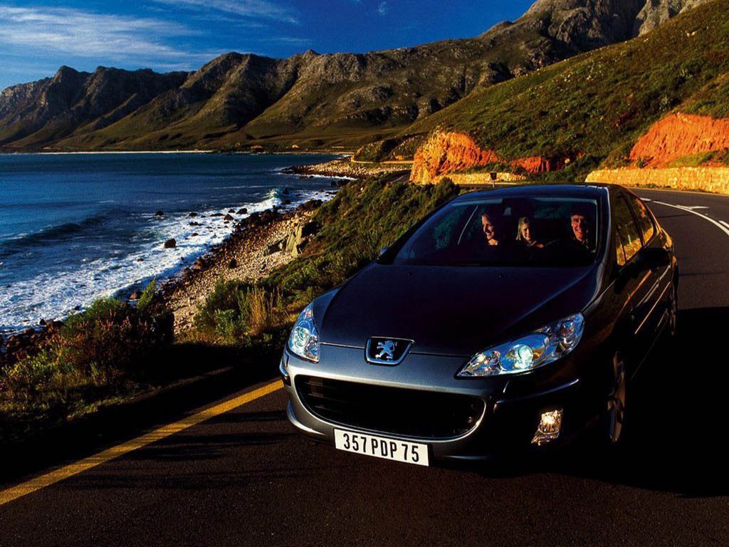 2004 Peugeot 407