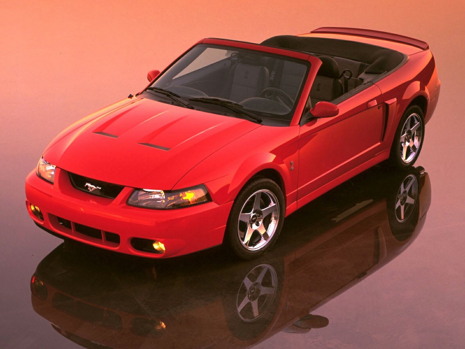 2003 - 2004 Ford SVT Mustang Cobra