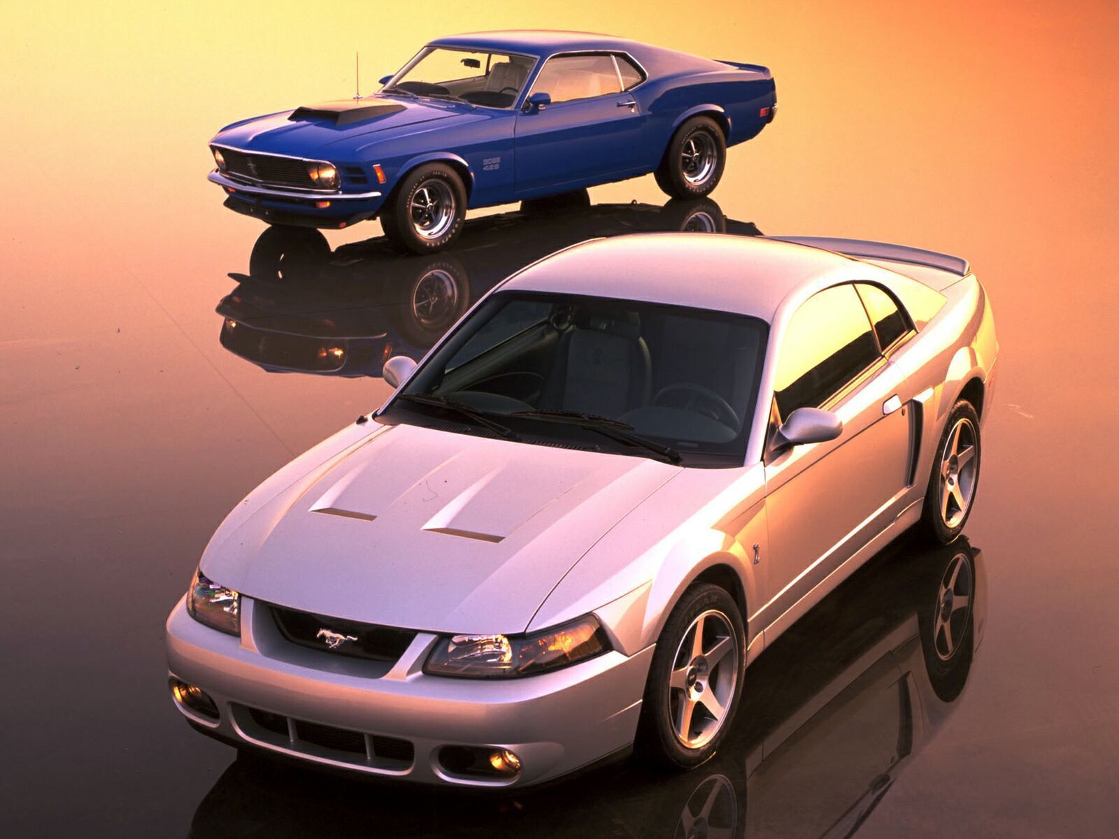 2003 - 2004 Ford SVT Mustang Cobra