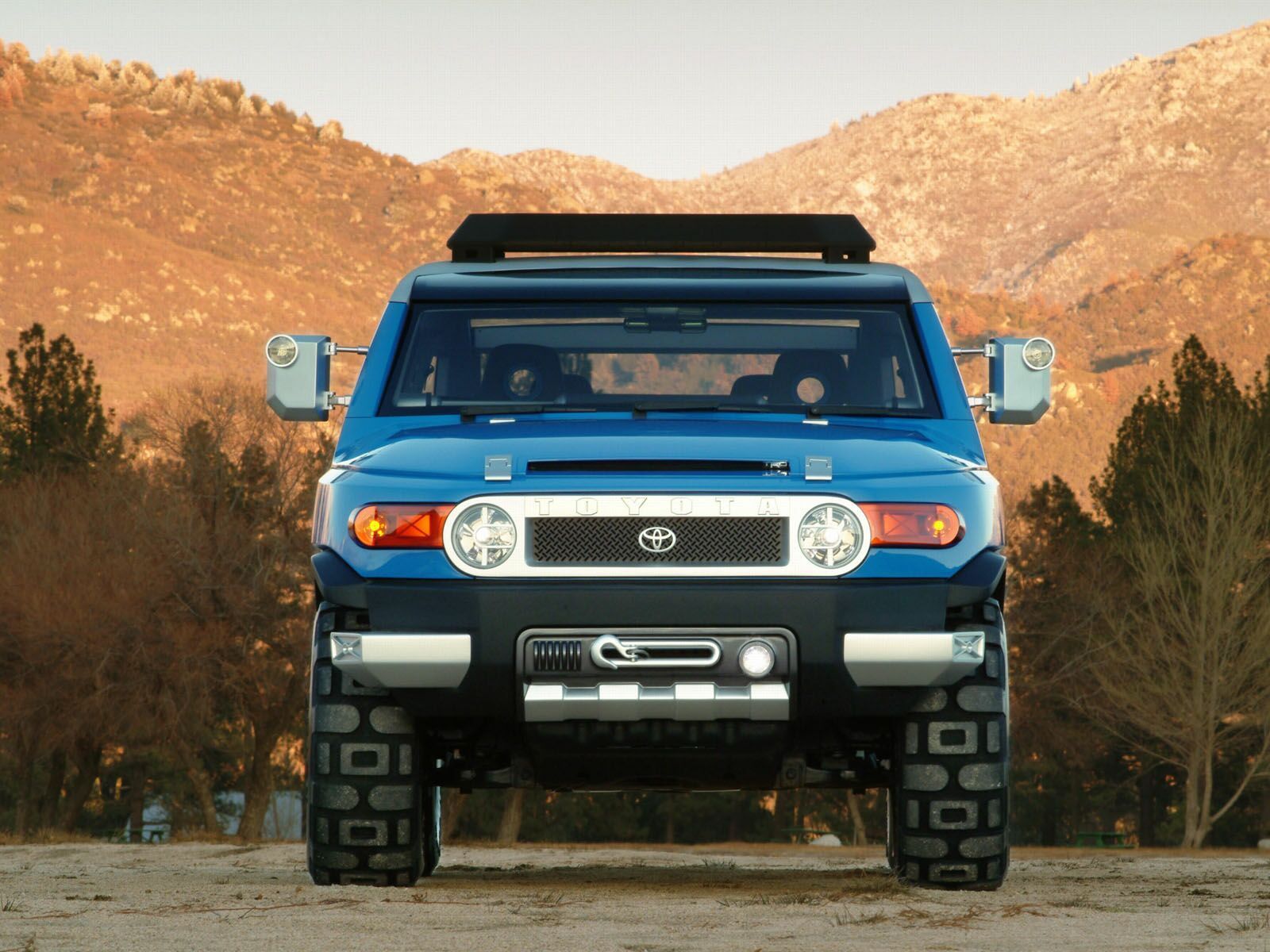 2007 Toyota FJ Cruiser