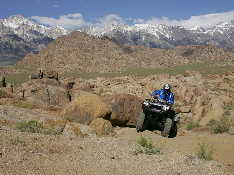 2006 Kawasaki Brute Force 750 4X4 IG