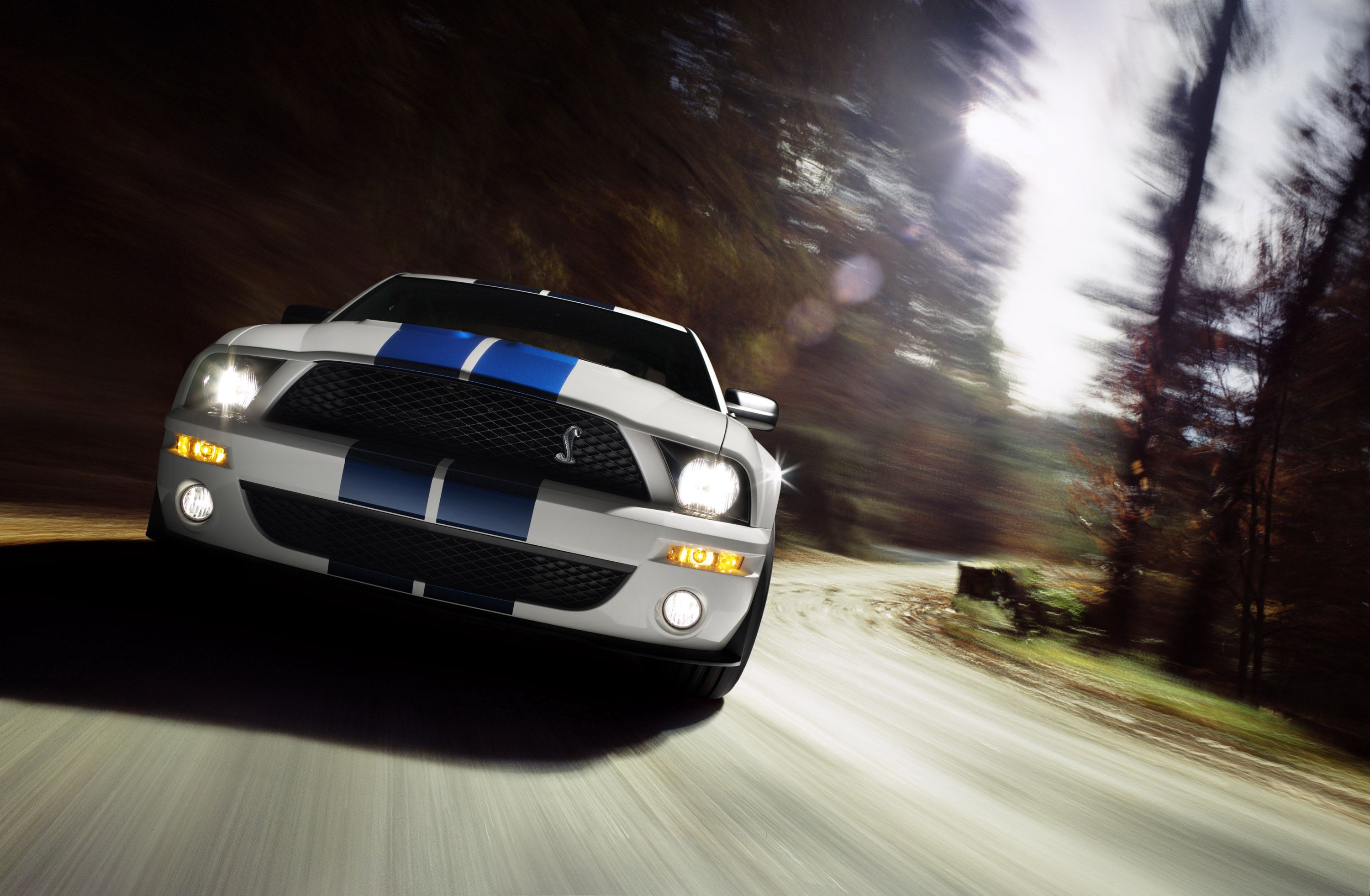 2007 Ford Mustang Shelby GT500