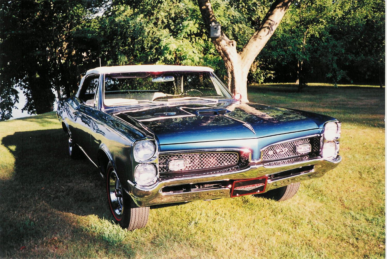 1964 - 2003 Pontiac GTO History