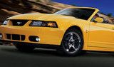 2003 - 2004 Ford SVT Mustang Cobra