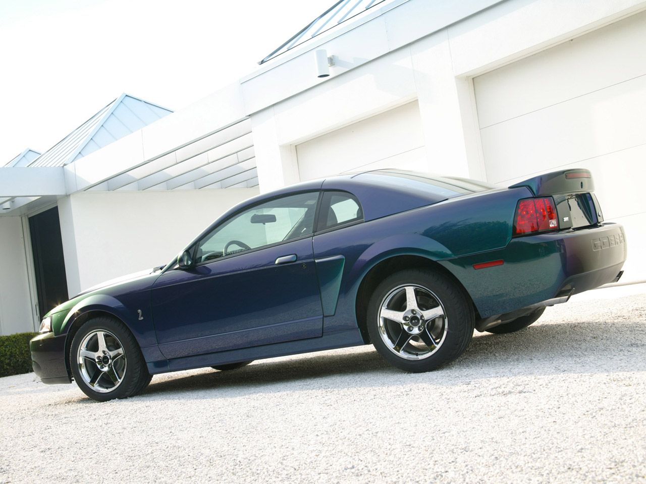 2003 - 2004 Ford SVT Mustang Cobra