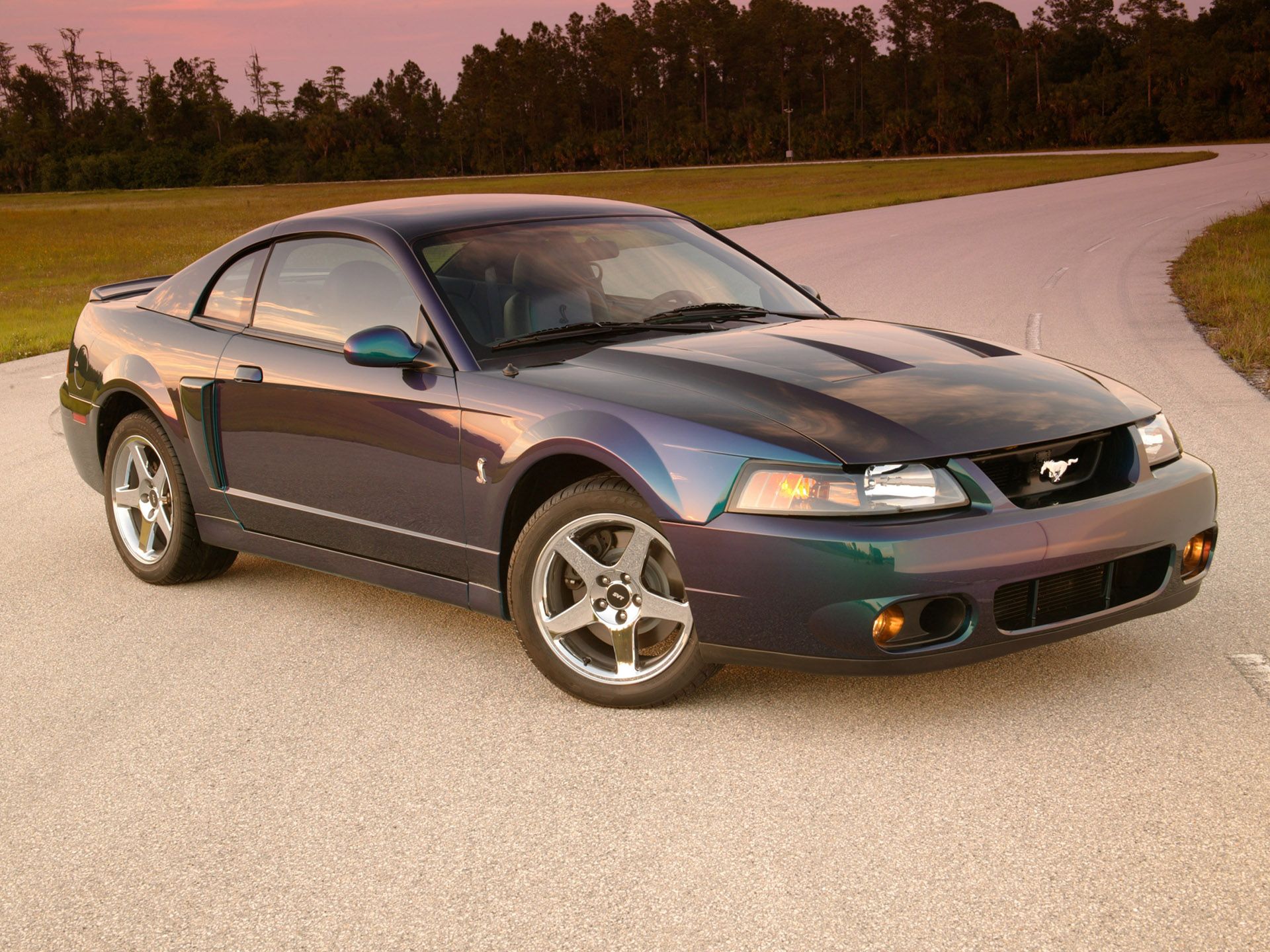 2003 - 2004 Ford SVT Mustang Cobra