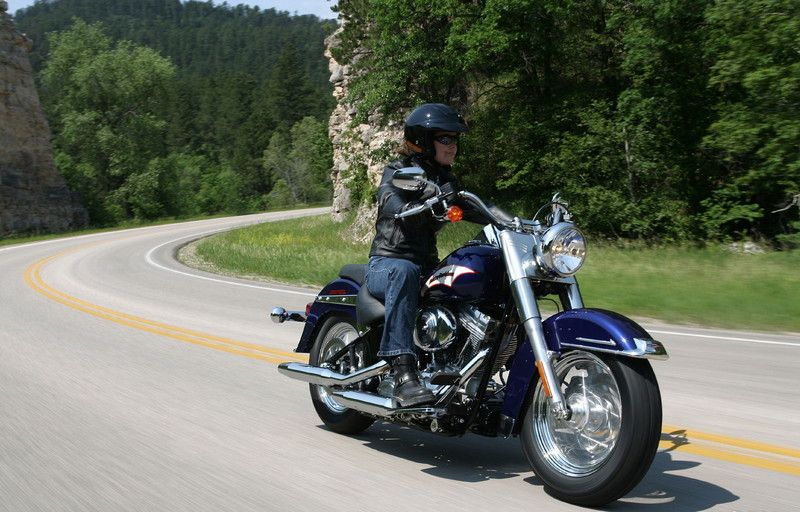 2006 Harley-Davidson FLST/I Heritage Softail