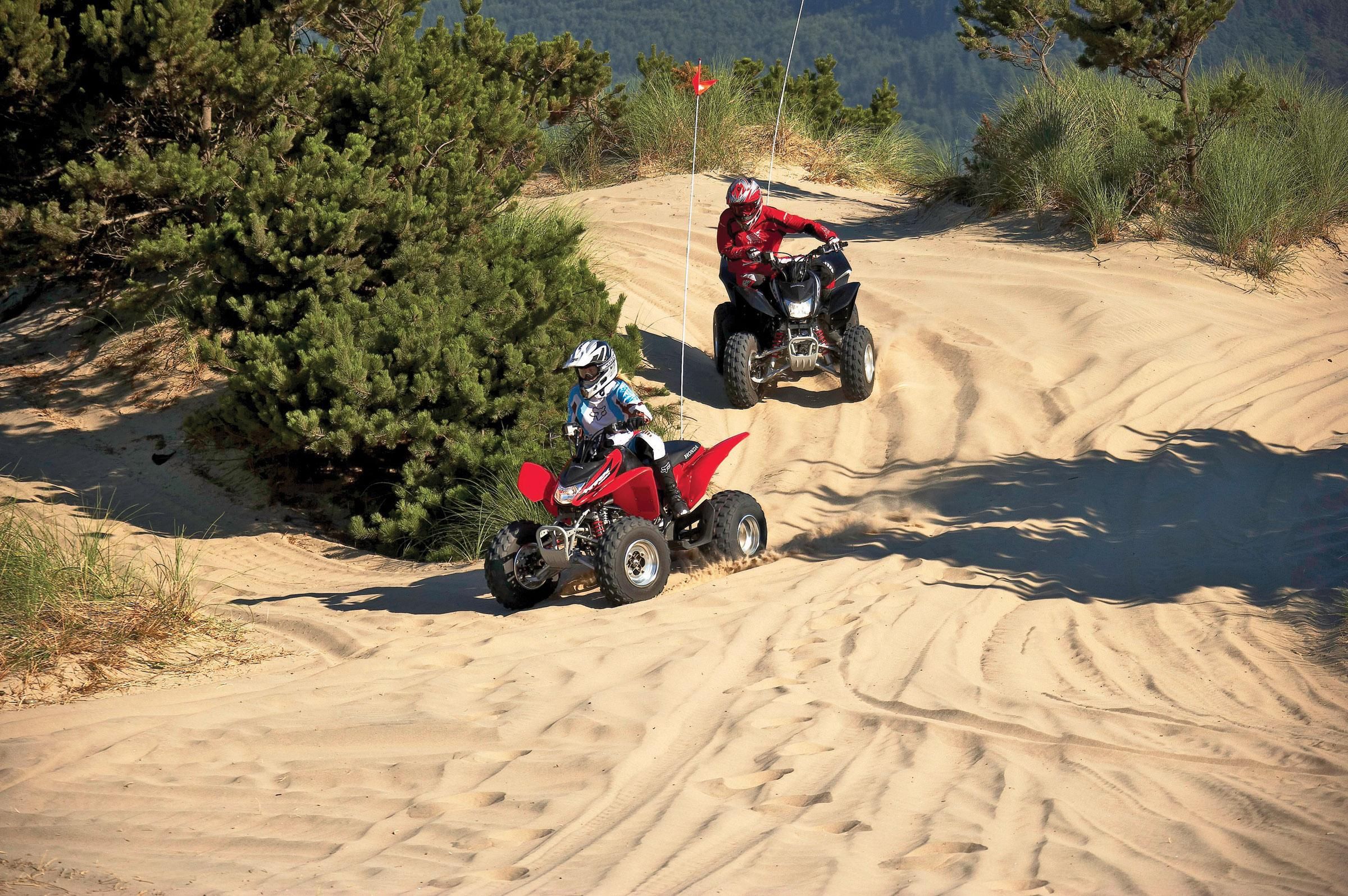 2006 Honda TRX250EX