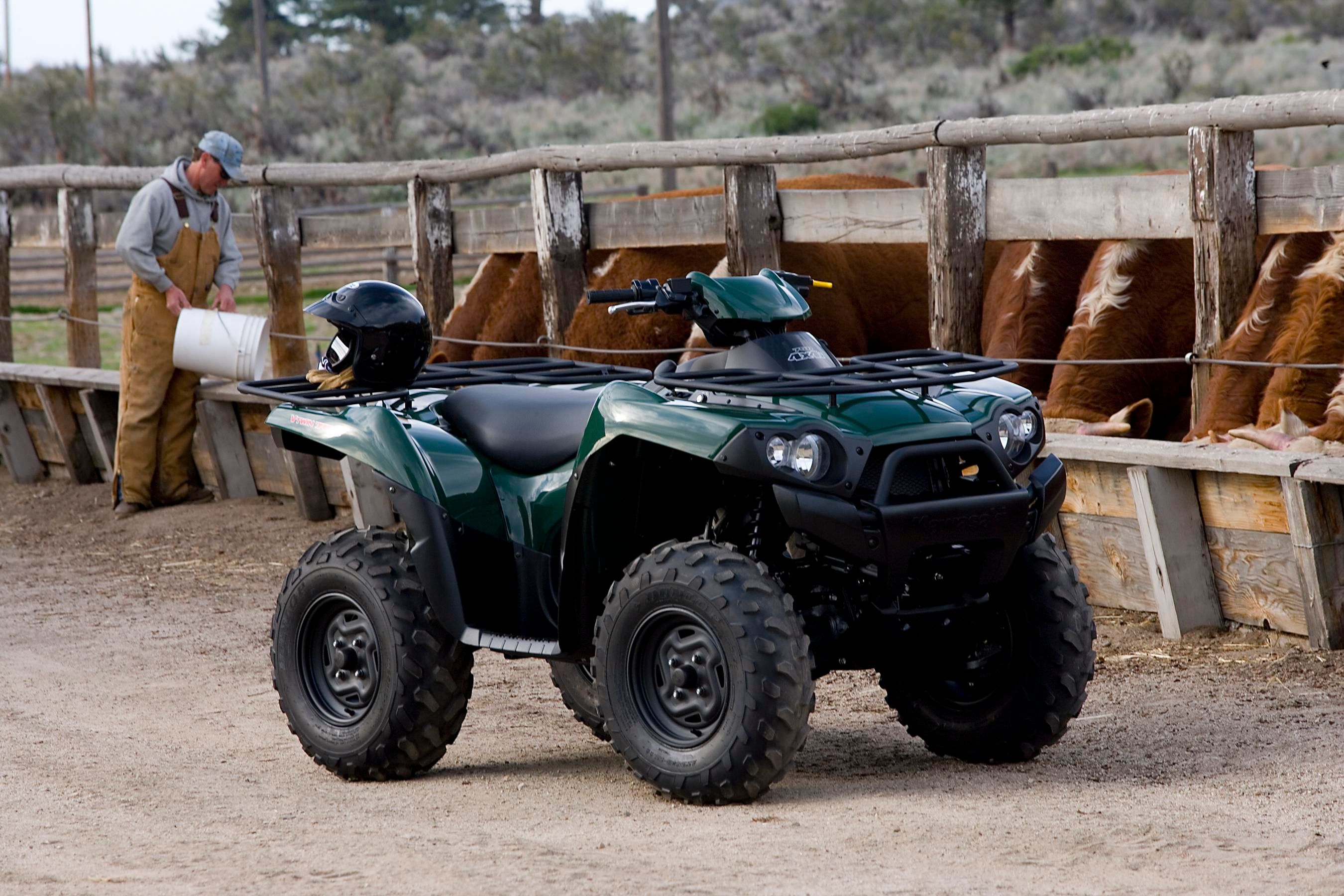 2006 Kawasaki Brute Force 750 4X4i