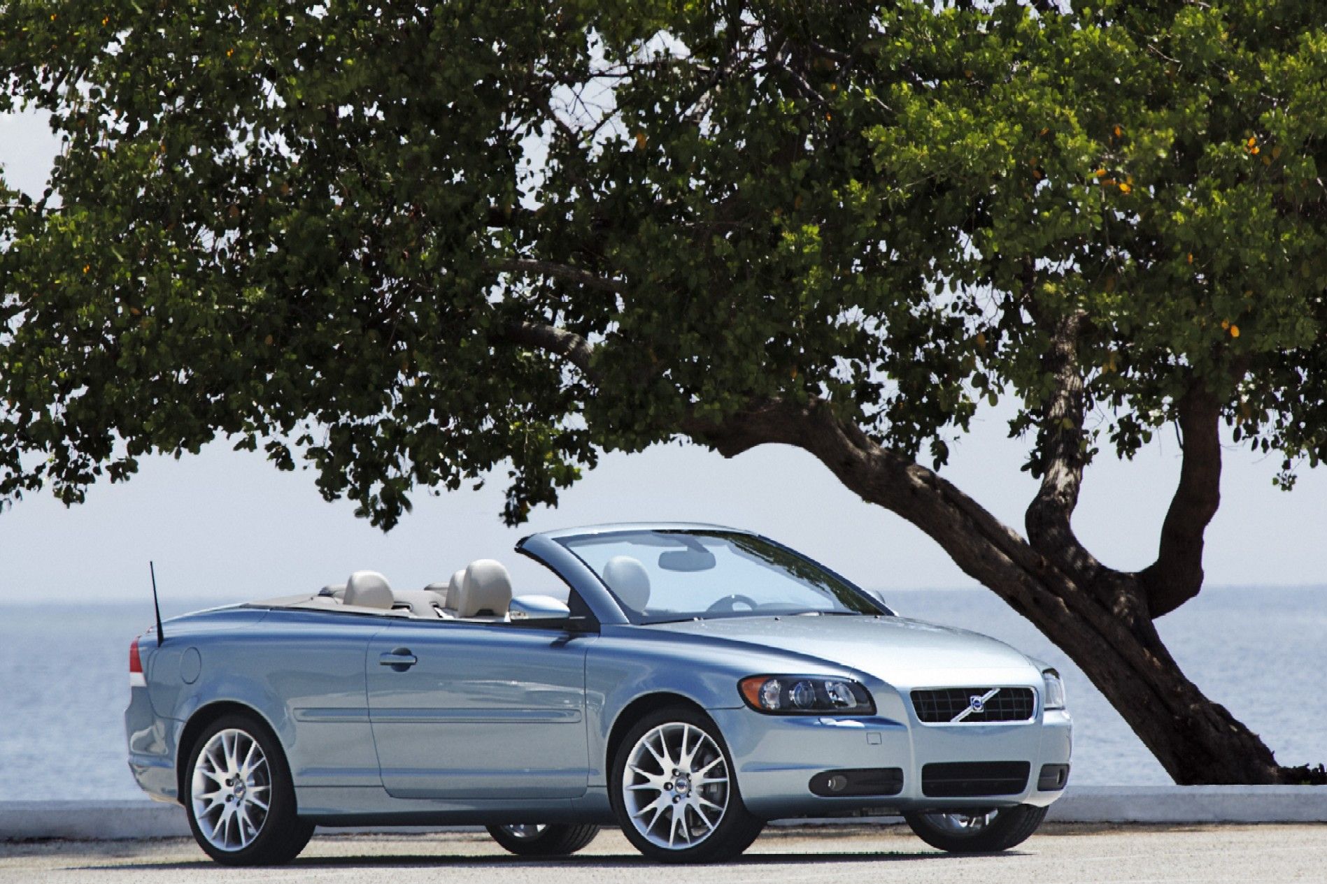 Best cars for singles
