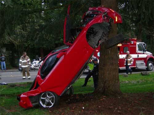 Lesson one: how to park your car in a tree