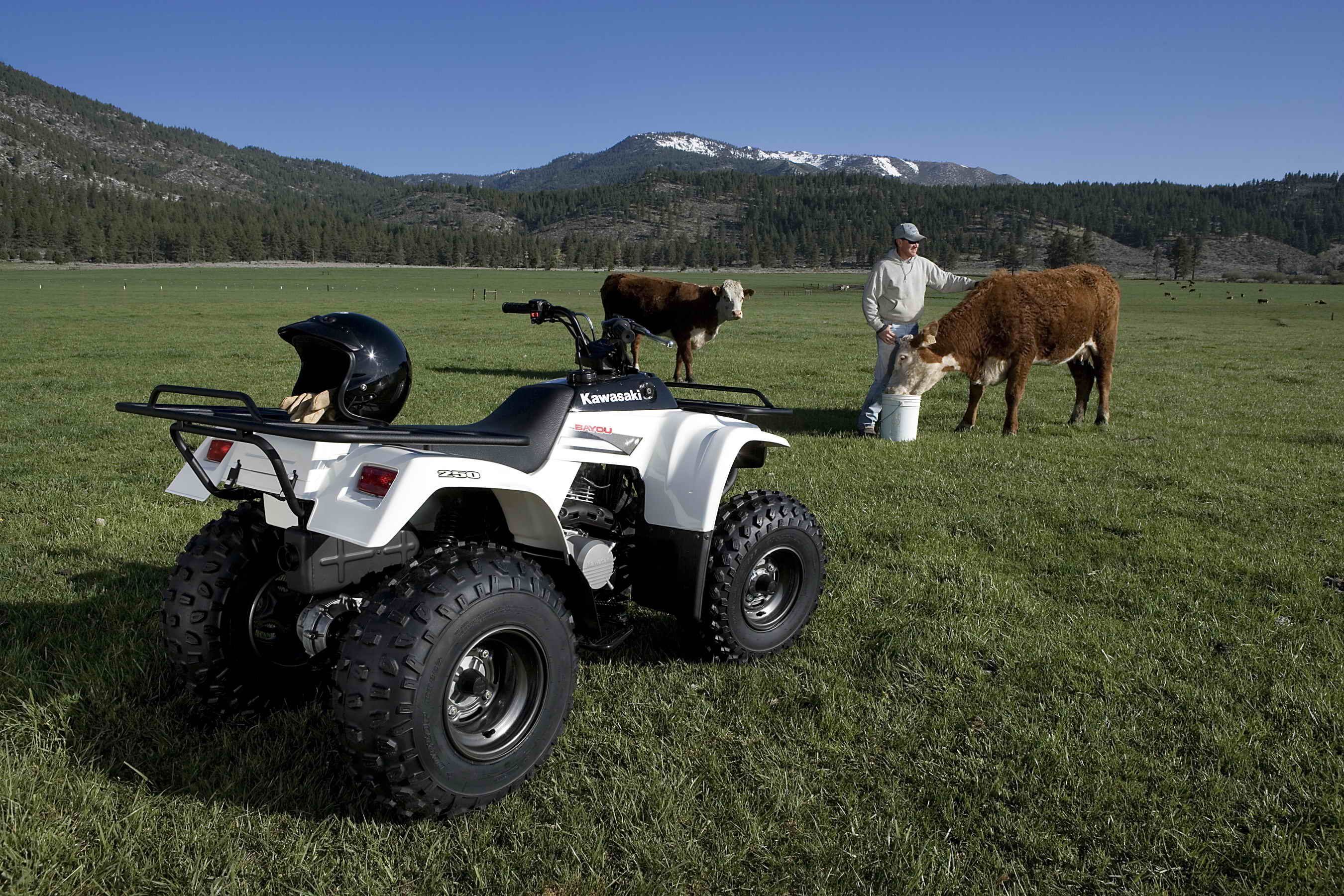 2007 Kawasaki Bayou 250