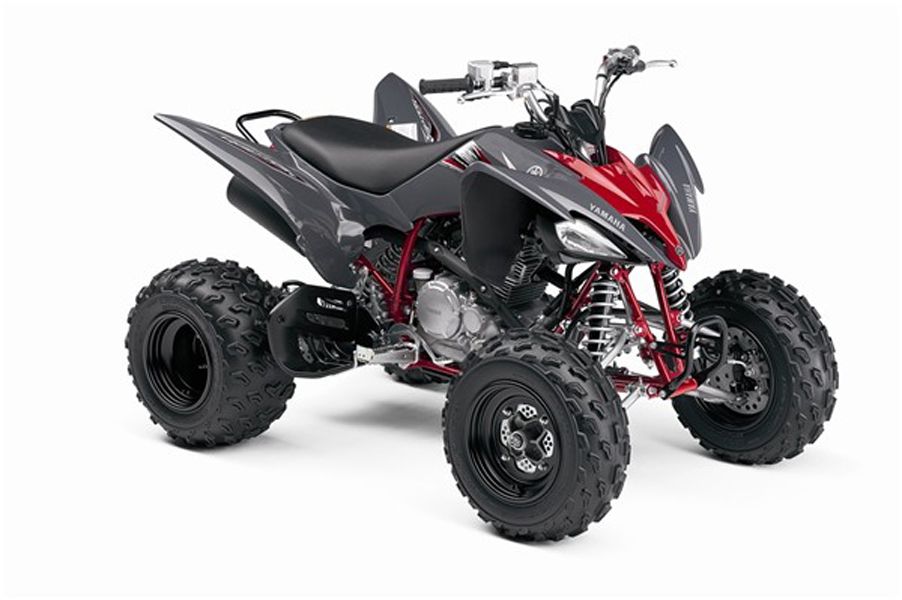 2008 Yamaha Raptor 250