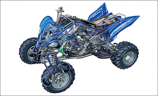 2008 Yamaha Raptor 250