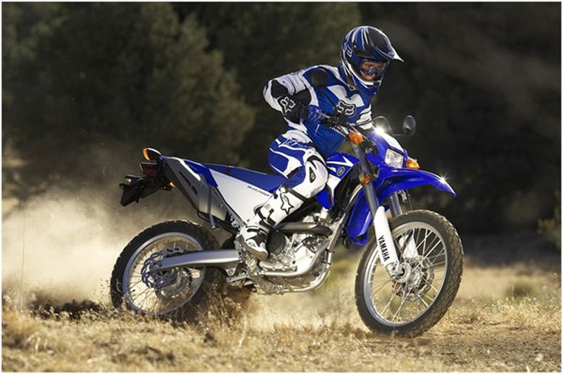  2008 Yamaha WR250R