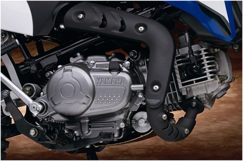  2008 Yamaha TT-R110E Engine
