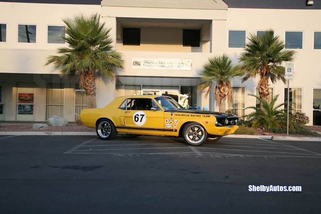 2007 Shelby Mustang Terlingua