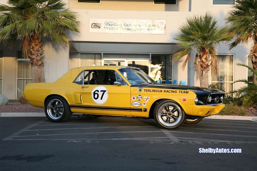 2007 Shelby Mustang Terlingua