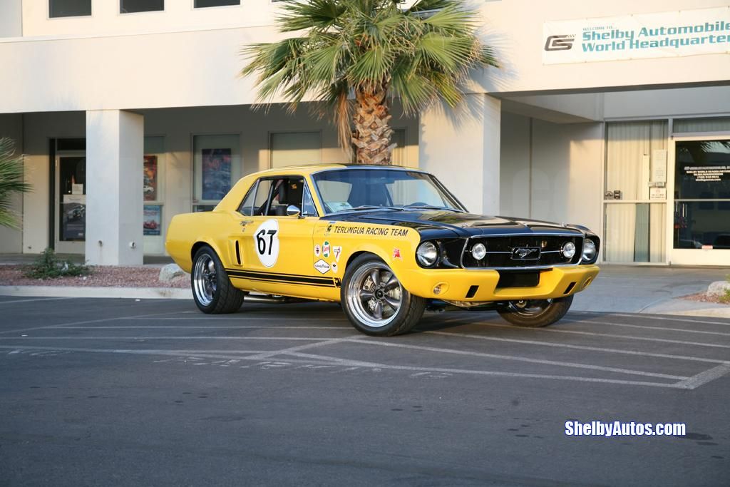 2007 Shelby Mustang Terlingua