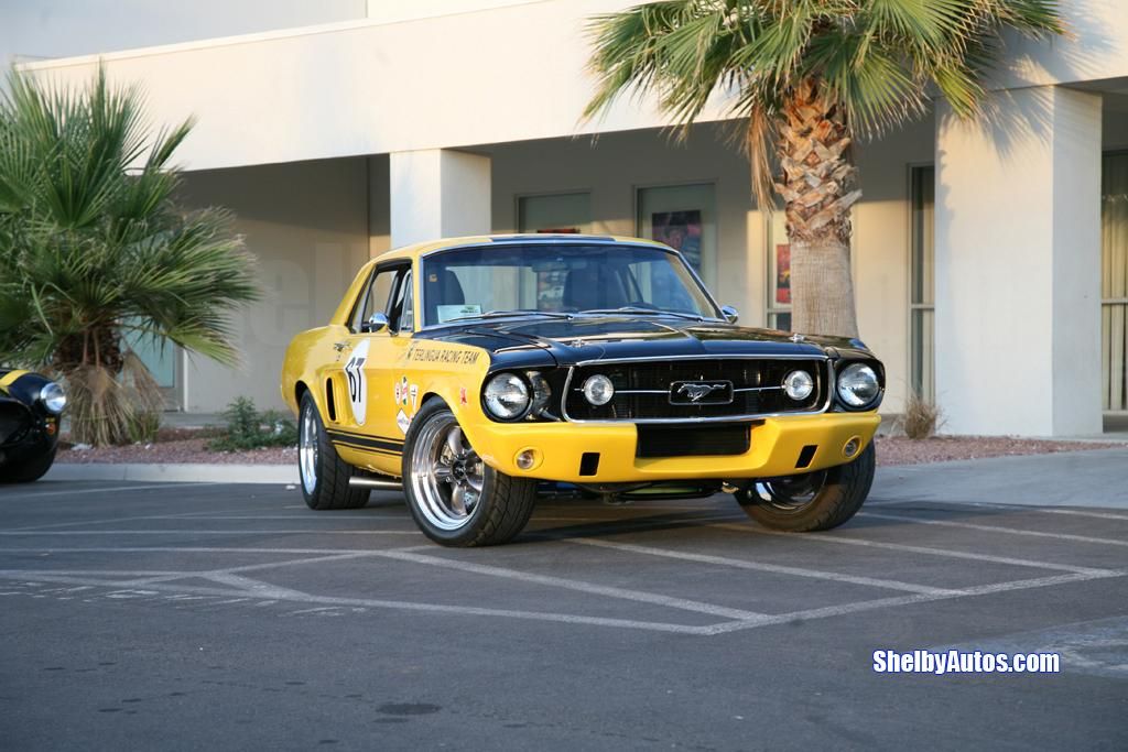 2007 Shelby Mustang Terlingua