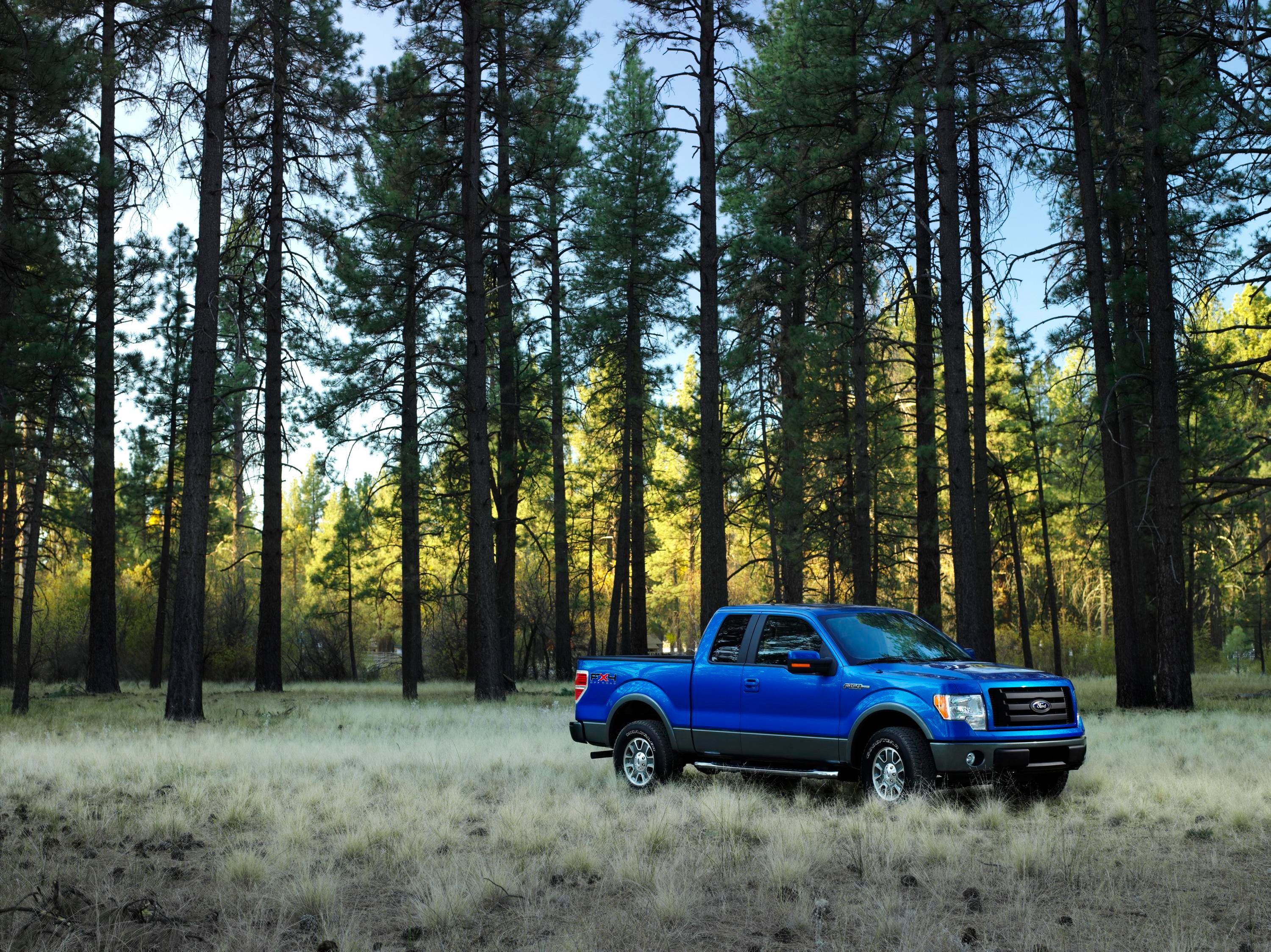 2009 Ford F-150