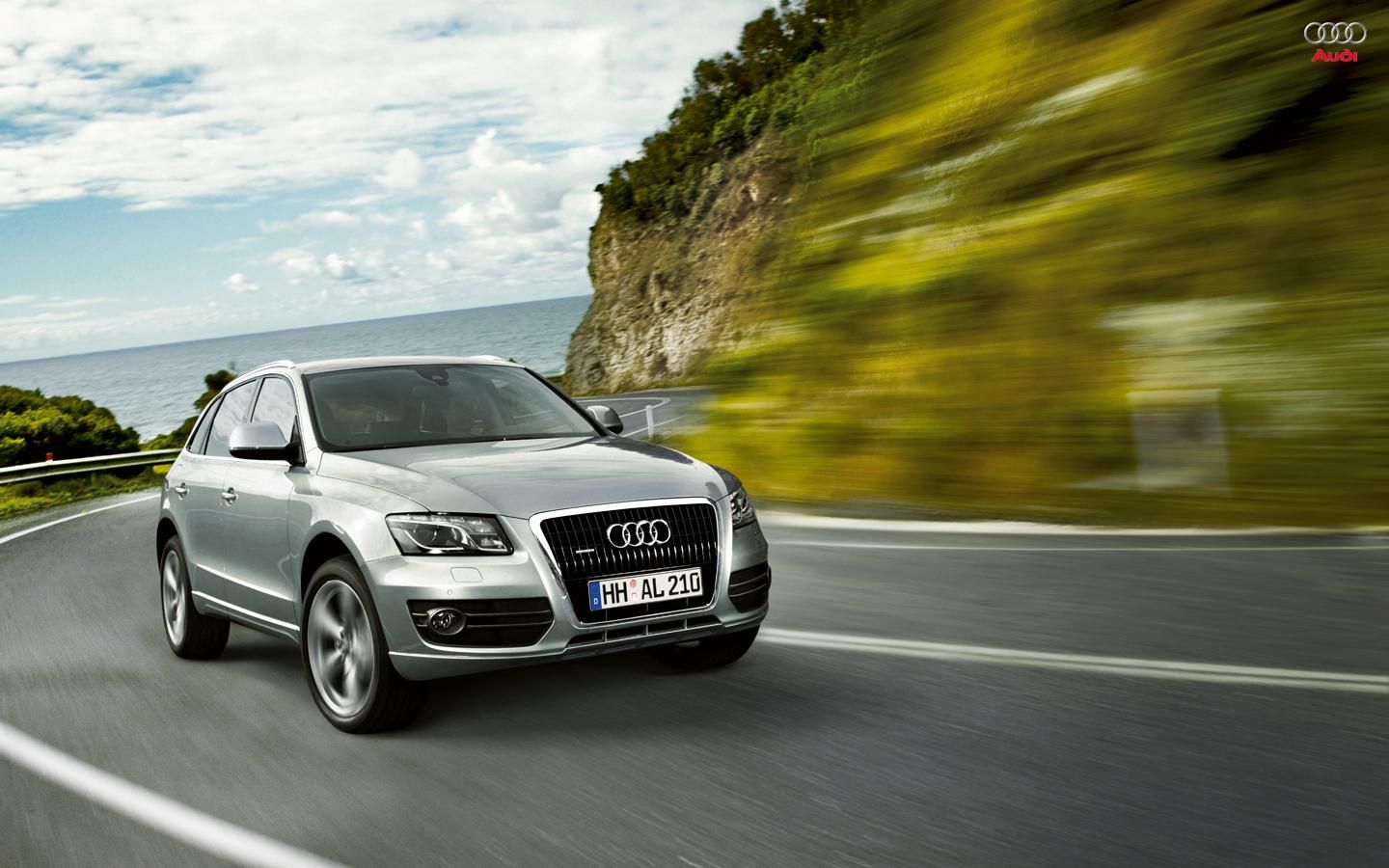 2009 Audi Q5