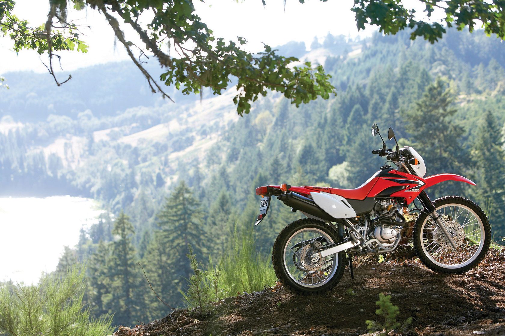  2009 Honda CRF230L