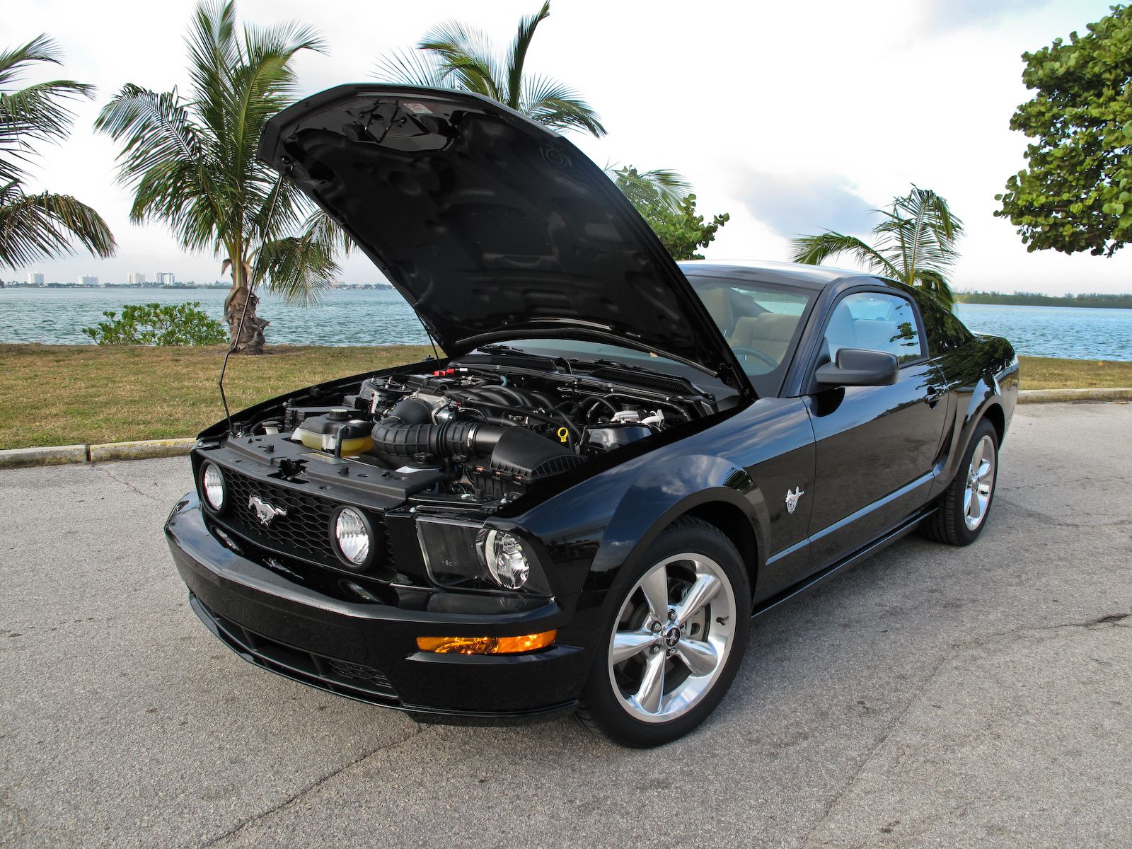 2009 Ford Mustang GT