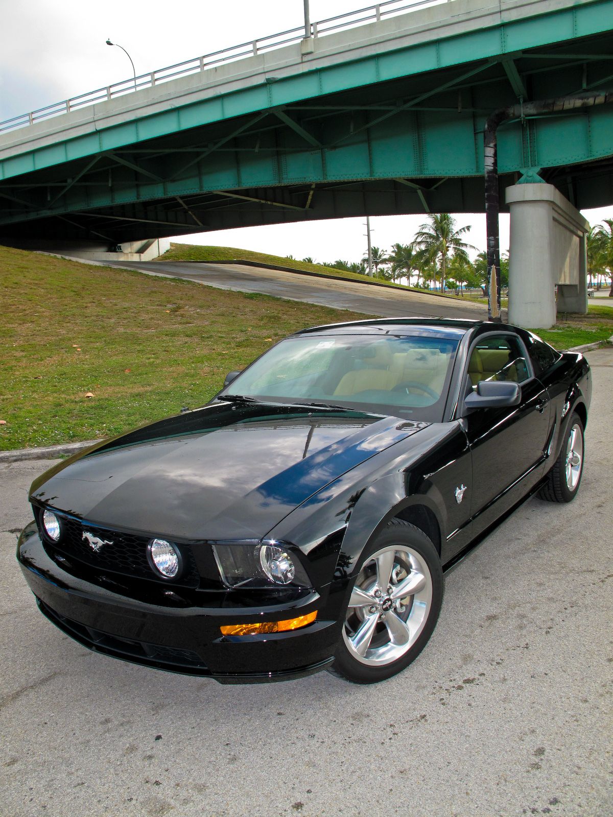 2009 Ford Mustang GT