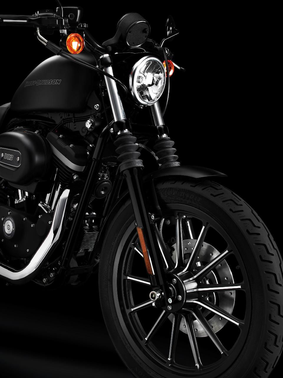  2009 Harley-Davidson Sportster Iron 883