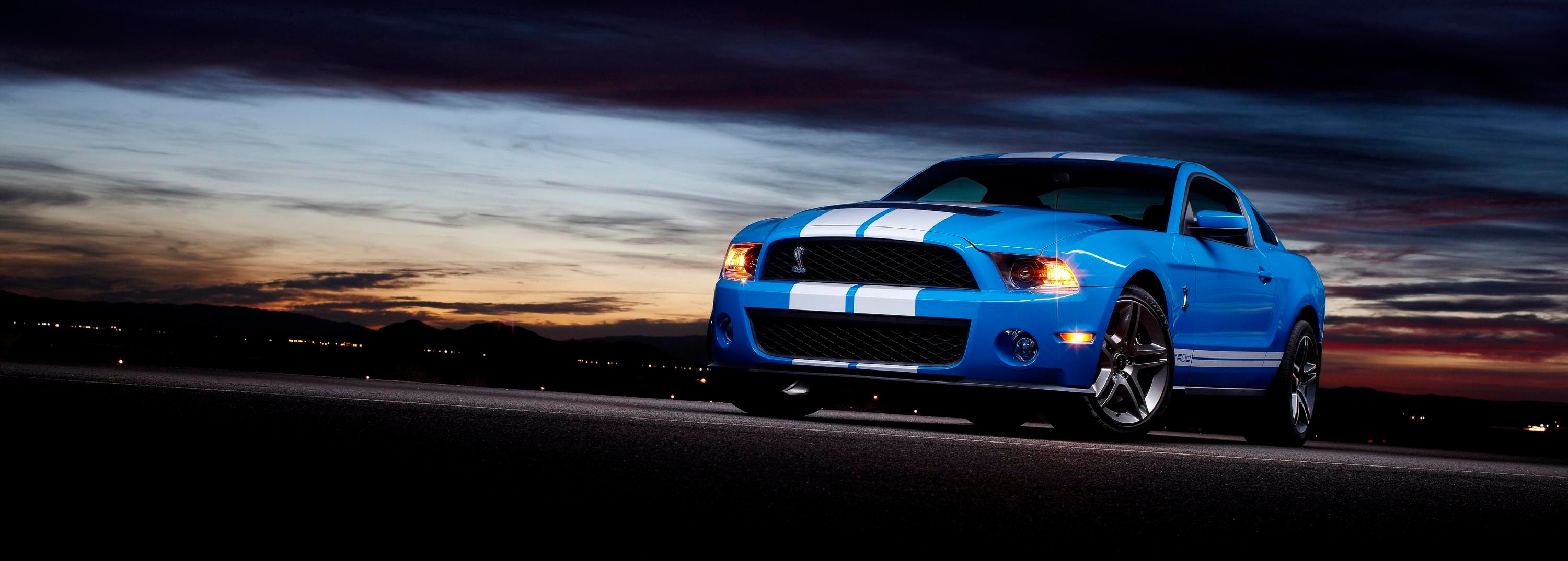 2010 Ford Shelby GT500