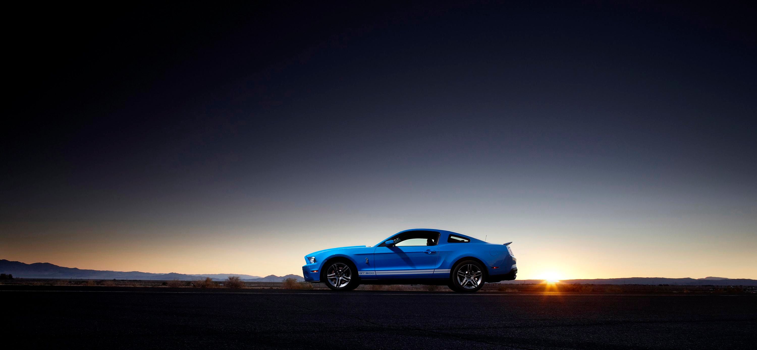 2010 Ford Shelby GT500