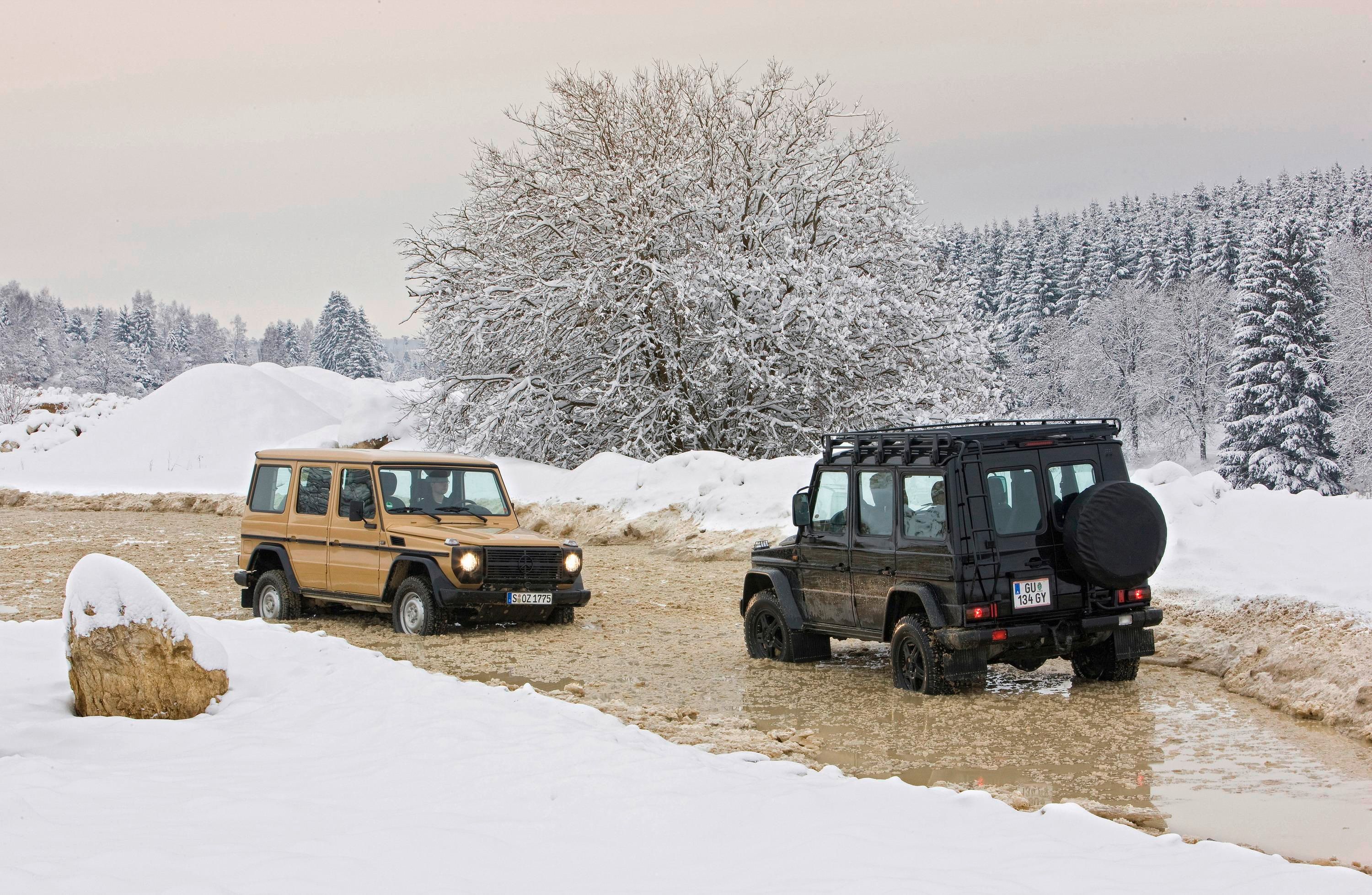 2009 Mercedes G-Class EDITION30 and G-Class EDITION30.PUR