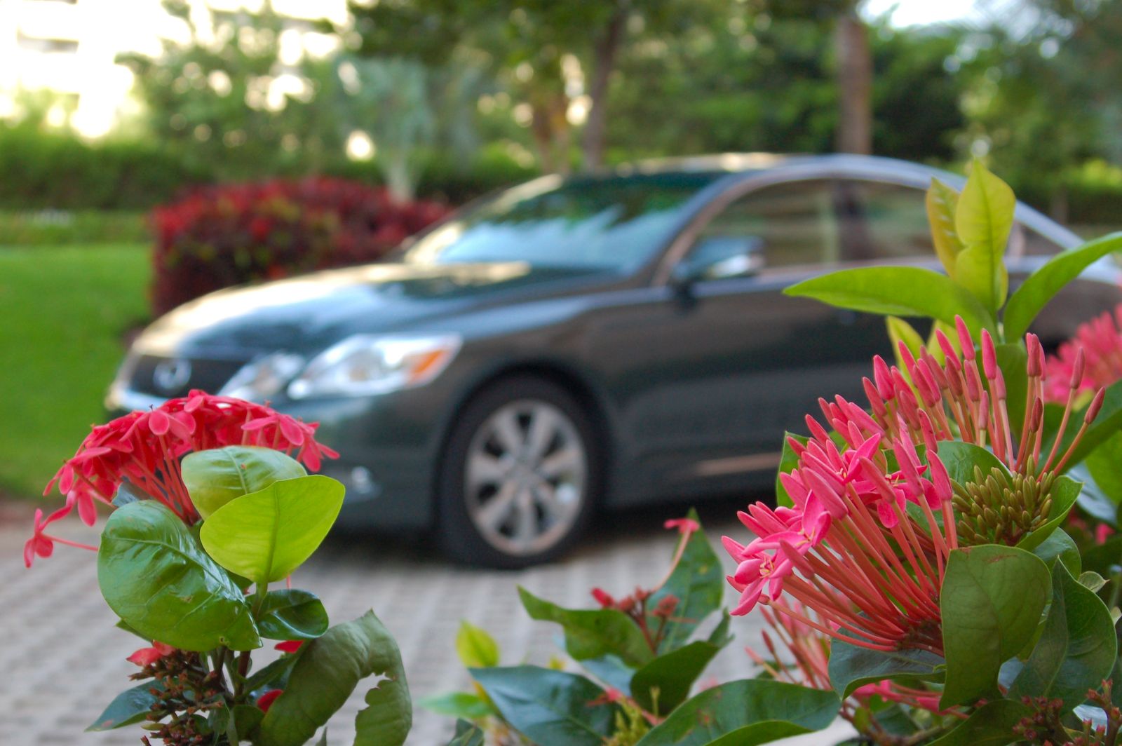 2008 Lexus GS350