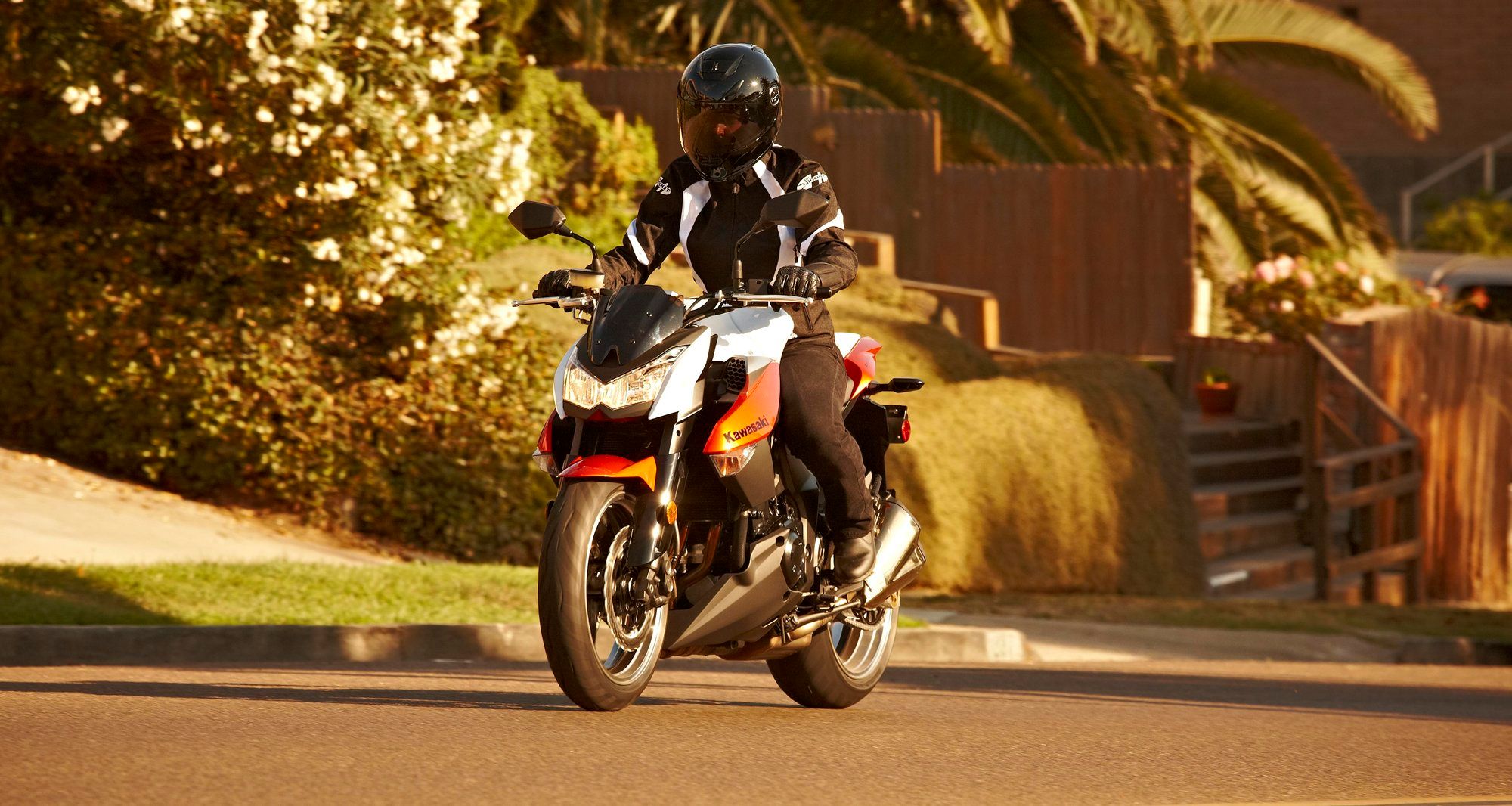  2010 Kawasaki Z1000