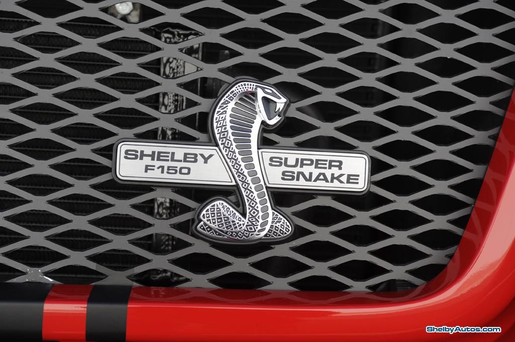 2009 Shelby F150 Super snake concept