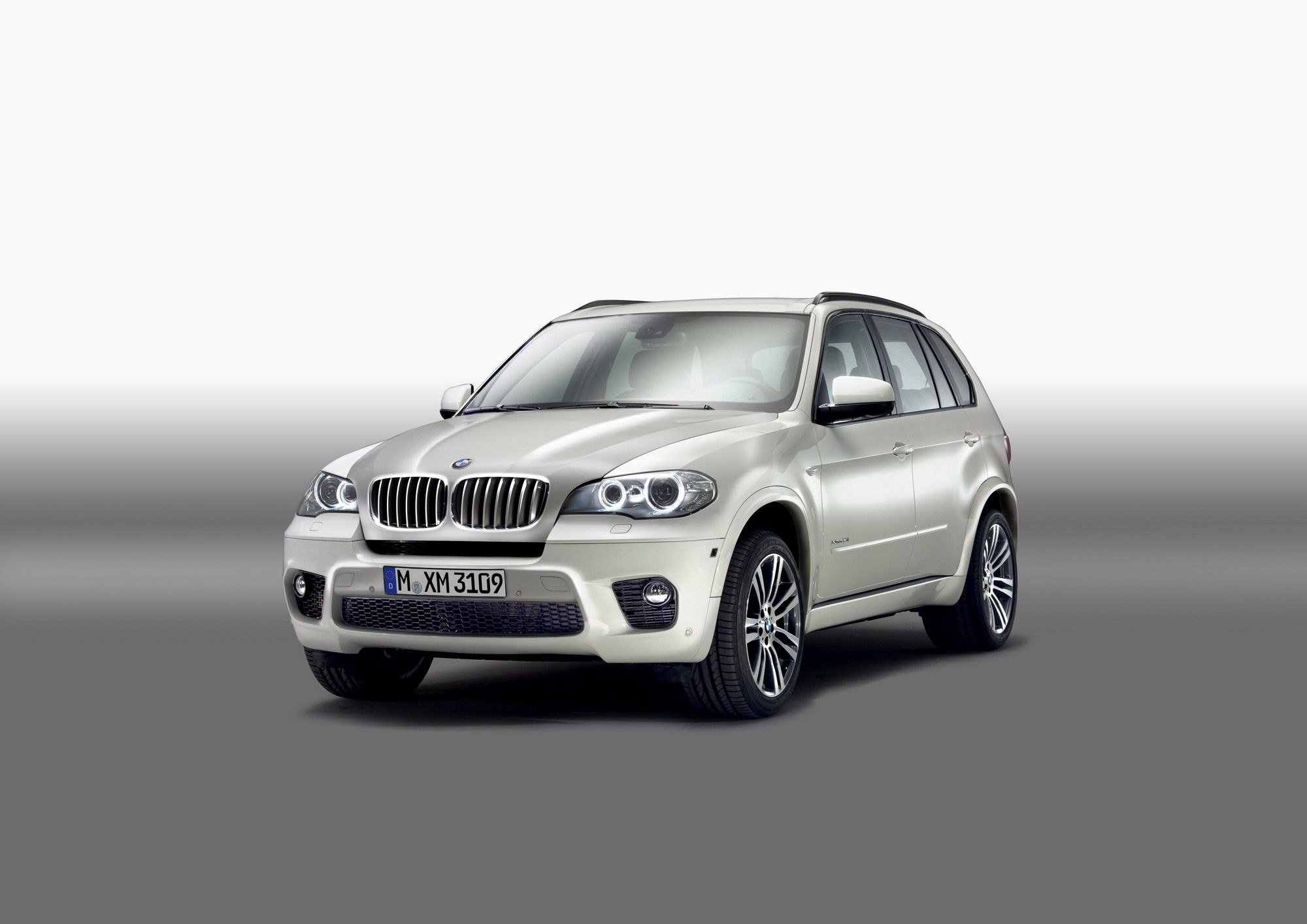 2010 BMW X5 with M Sports package