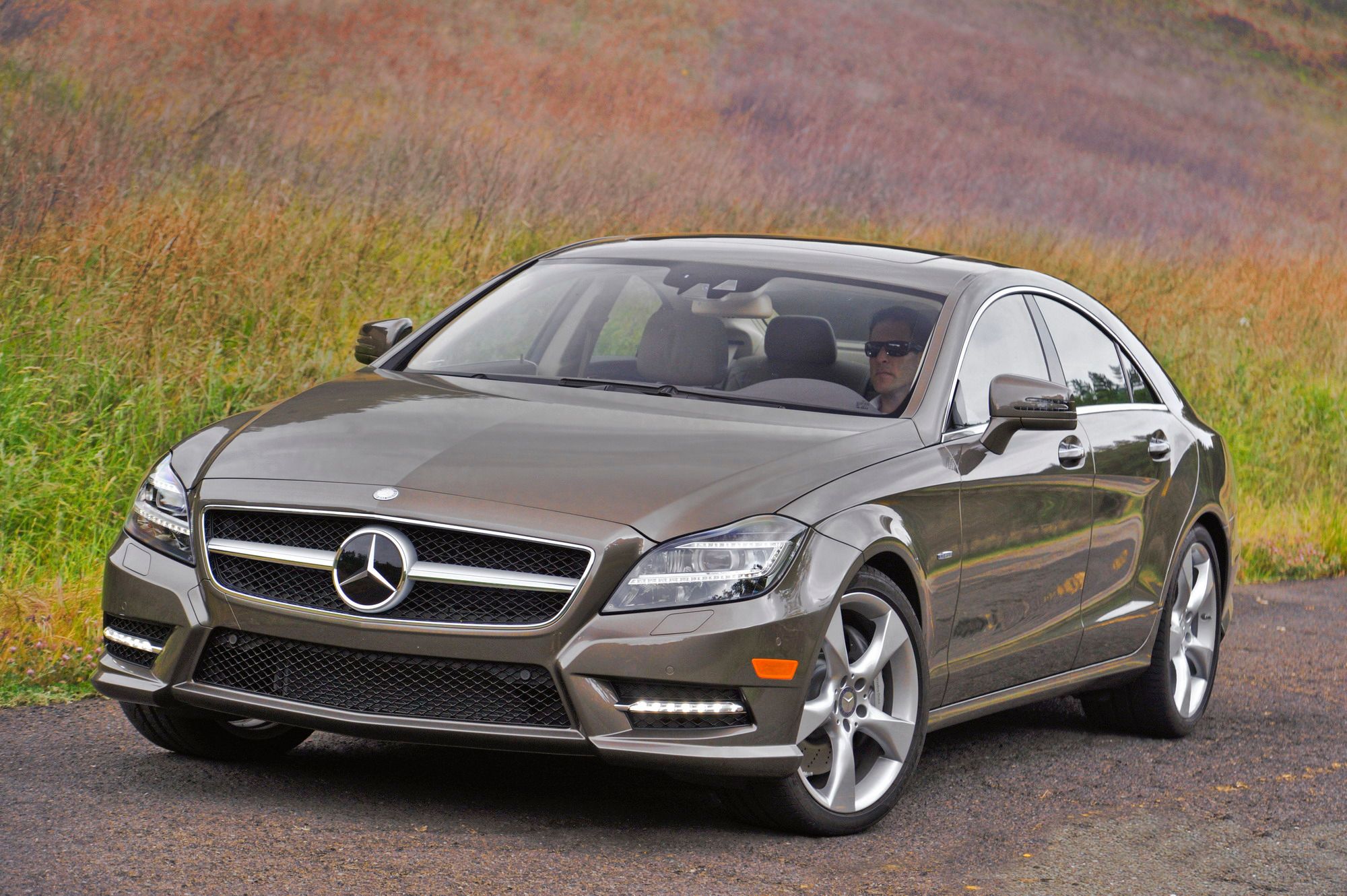 2012 - 2014 Mercedes-Benz CLS