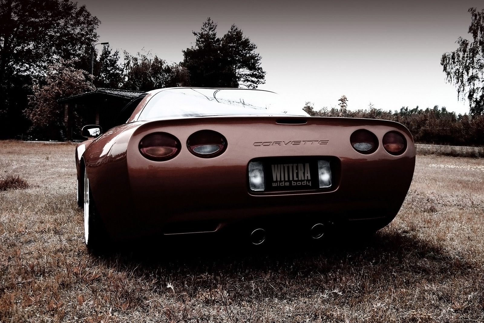 1997 - 2004 Chevrolet Corvette C5 by Wittera