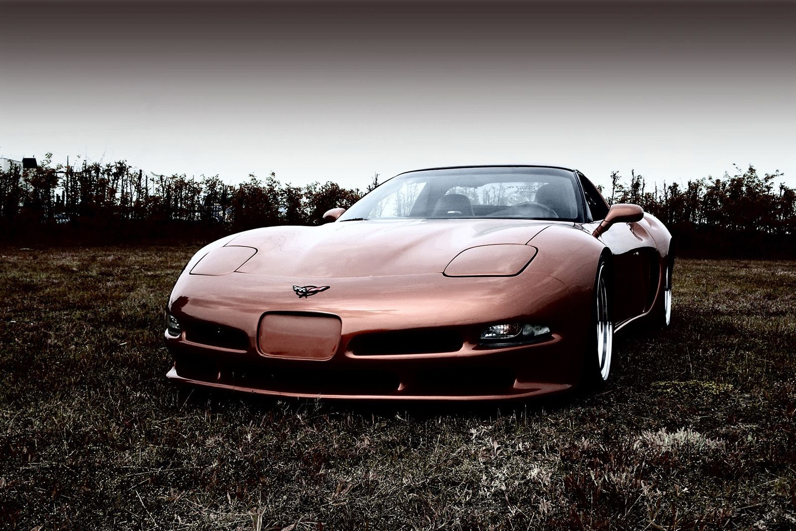 1997 - 2004 Chevrolet Corvette C5 by Wittera