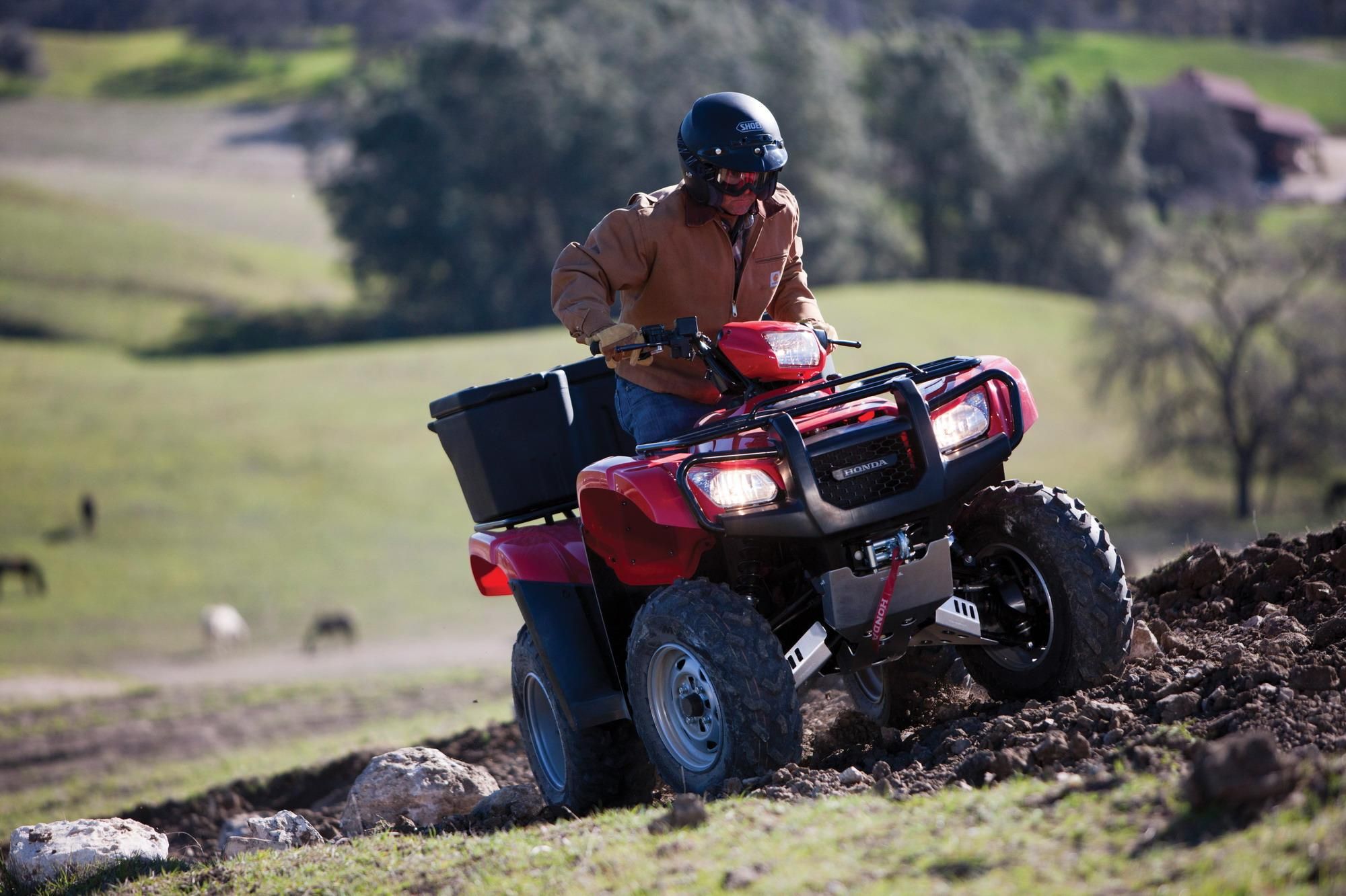 2012 Honda FourTrax Foreman 4x4 ES