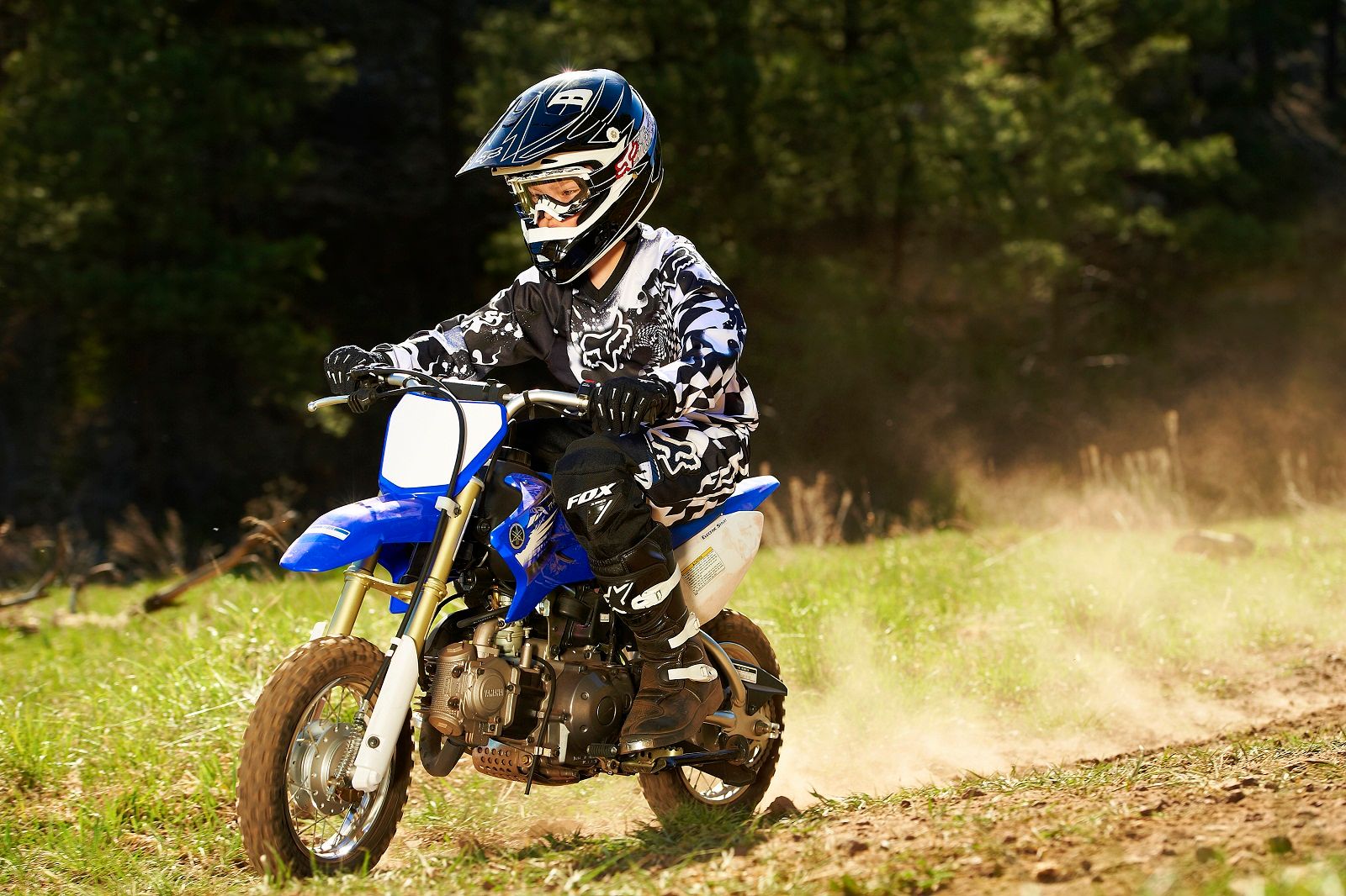 2012 Yamaha Off Road TT-R50E