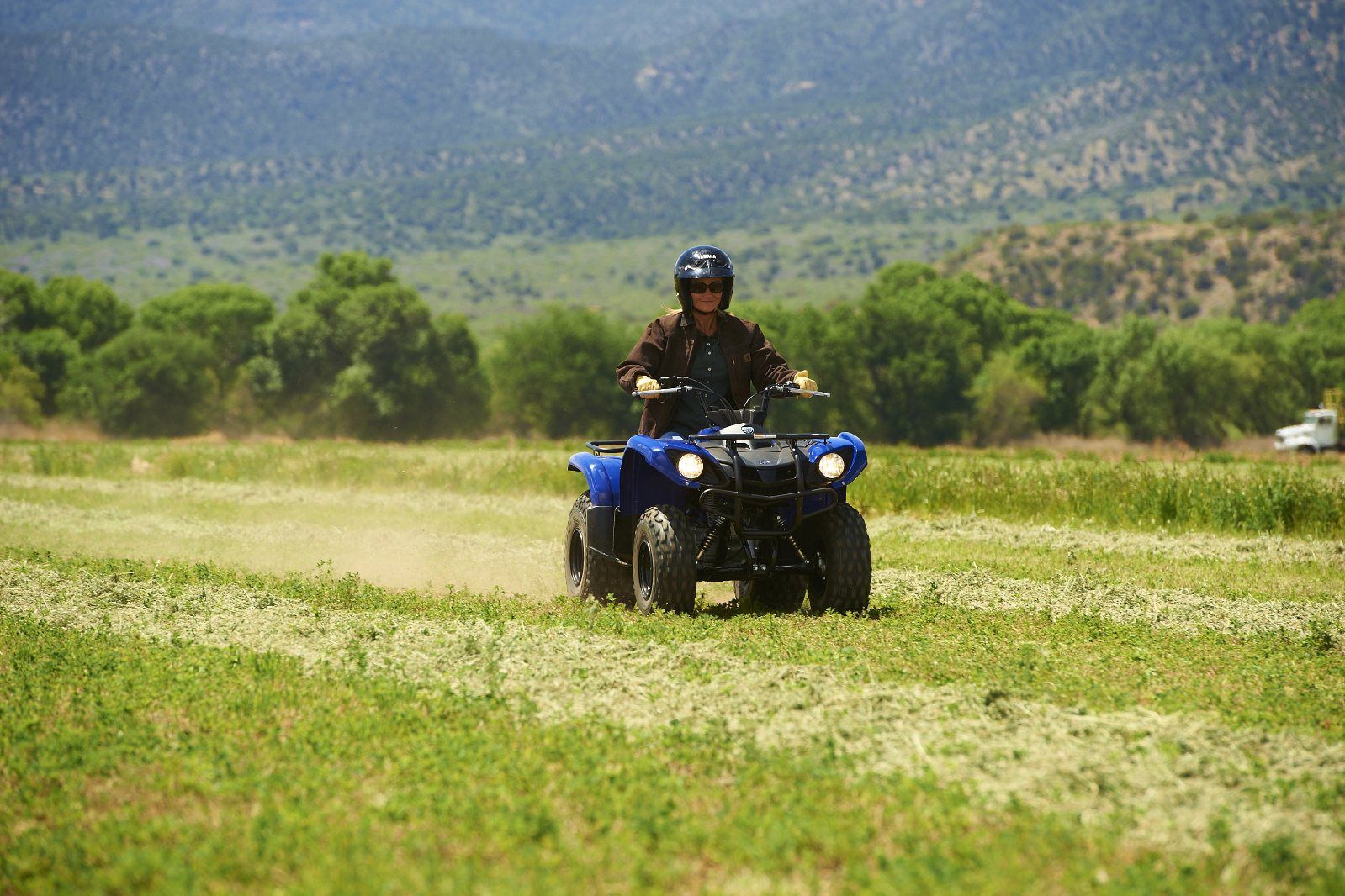 2012 Yamaha Grizzly 125 Automatic