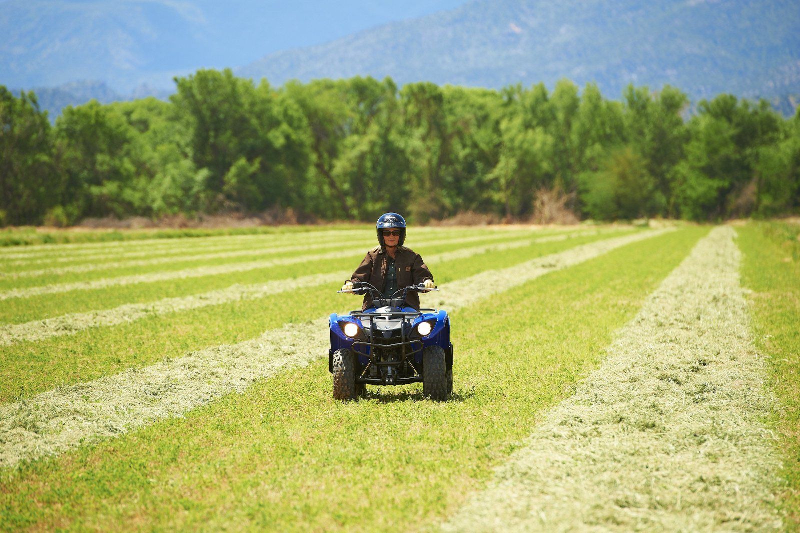 2012 Yamaha Grizzly 125 Automatic