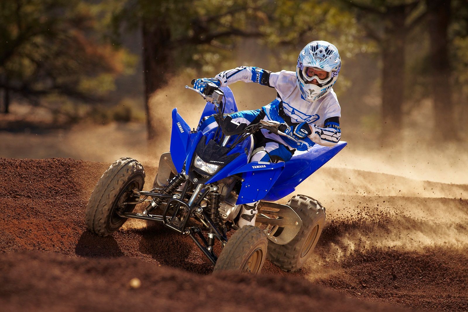 2012 Yamaha Raptor 125