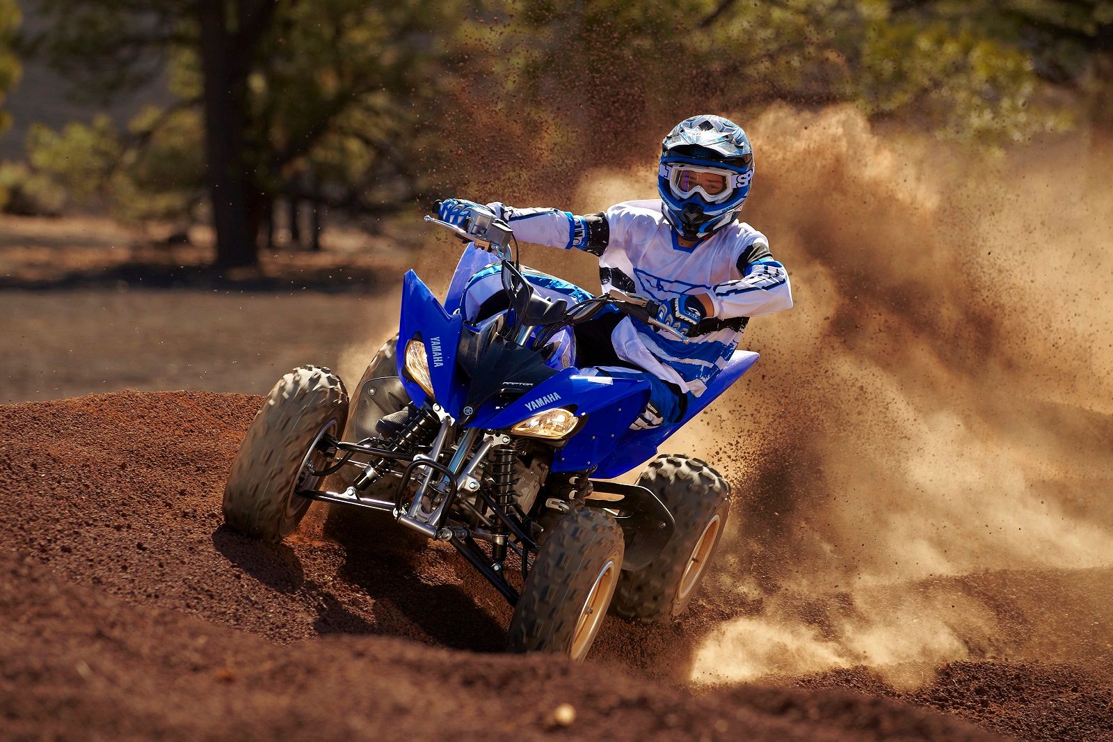 2012 Yamaha Raptor 250