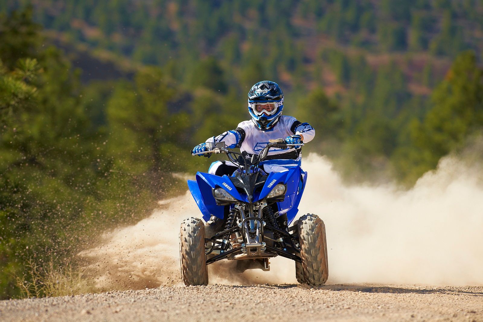 2012 Yamaha Raptor 250