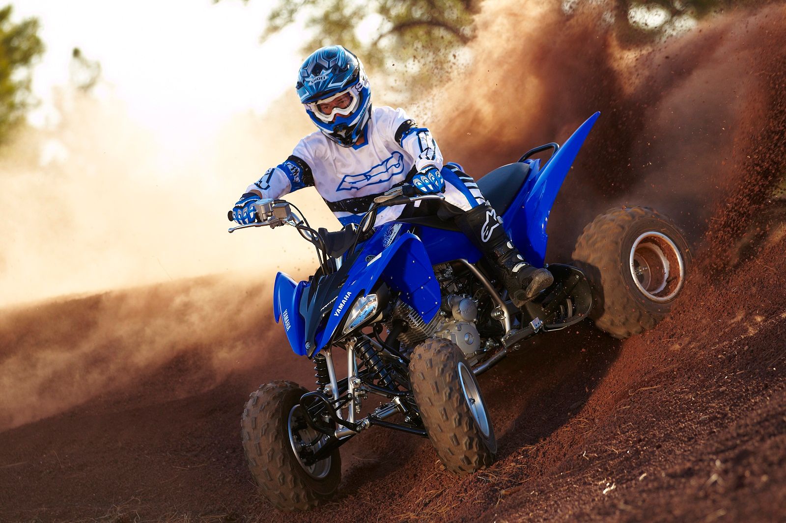 2012 Yamaha Raptor 250