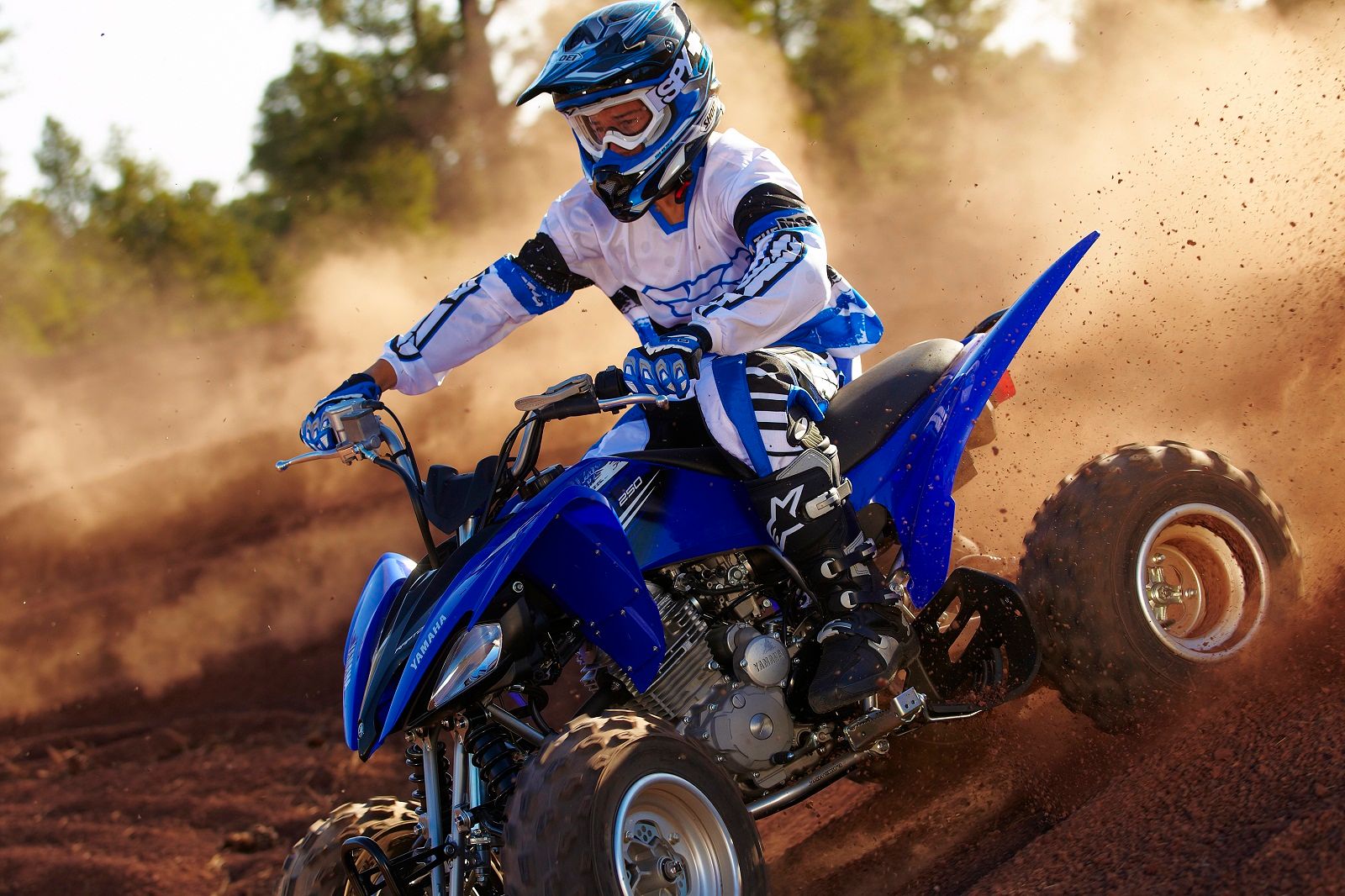 2012 Yamaha Raptor 250